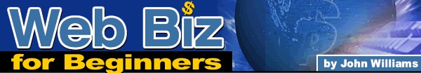 web biz for beginners web biz for beginners